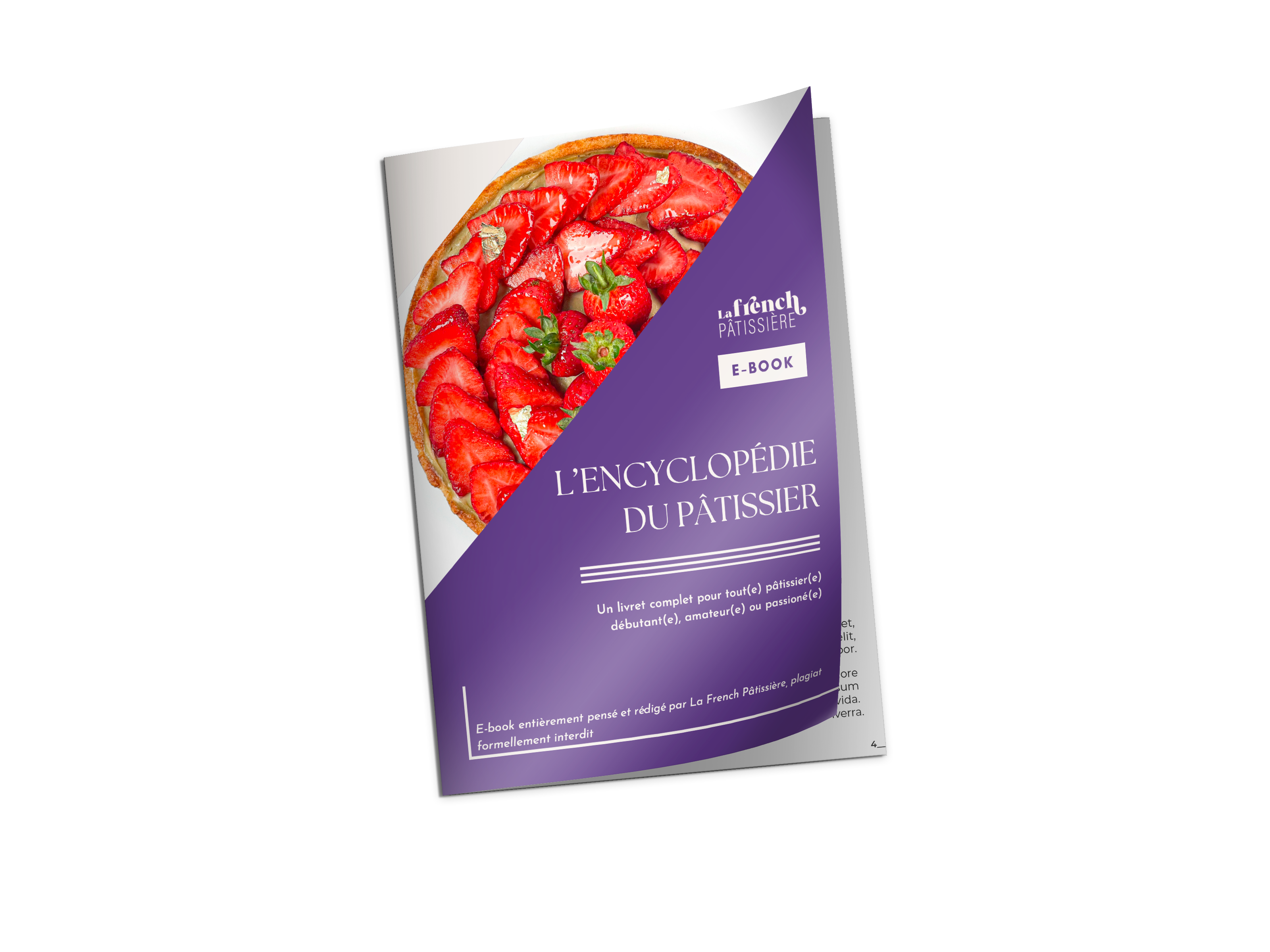 Mon e-book gratuit